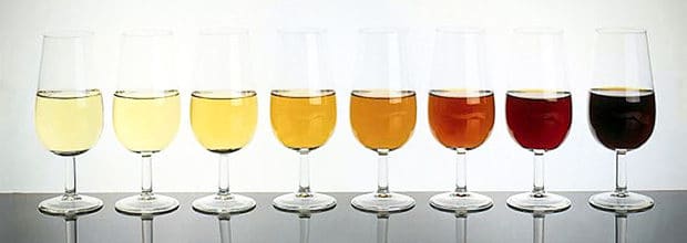 types-of-sherry-wines-sherrynotes