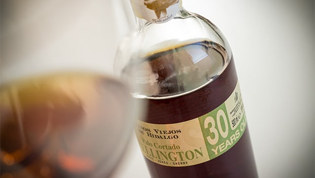 Palo Cortado: Palo Cortado Wellington VORS (Hidalgo)