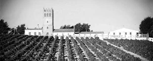 El Majuelo - El Castillo - Macharnudo