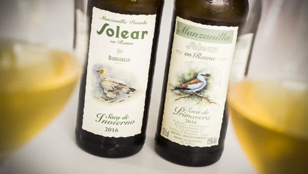 Manzanilla: Solear En Rama Primavera / Invierno 2016 (Barbadillo)