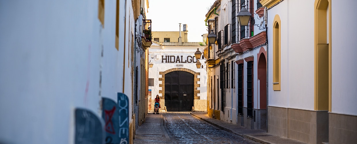 Bodegas Hidalgo