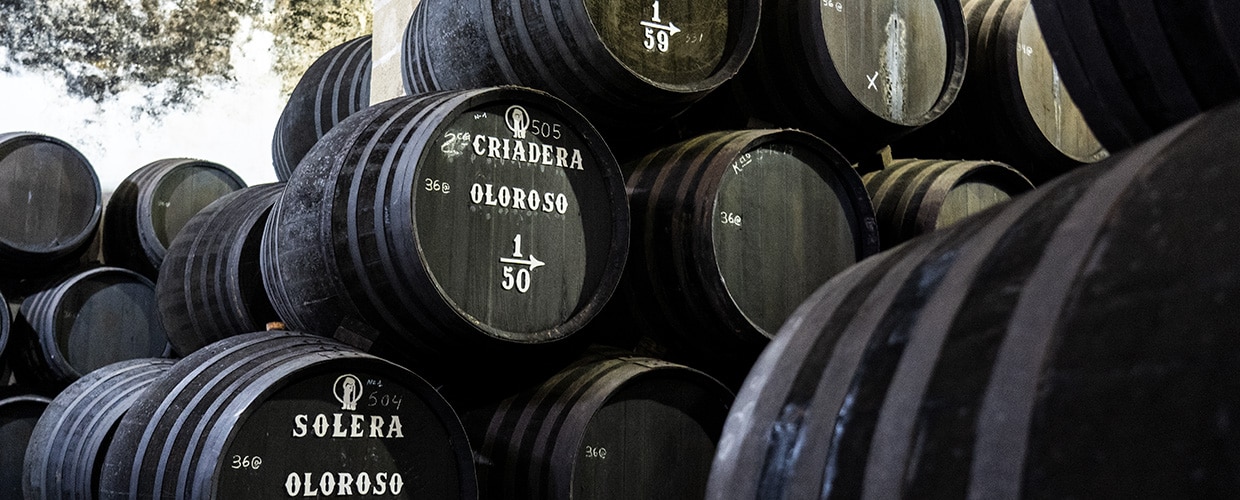 Bodegas Tradicion - Oloroso solera