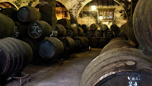 Osborne sherry bodega