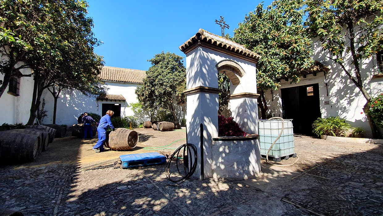 Patio Bodega del Toro - Barbadillo