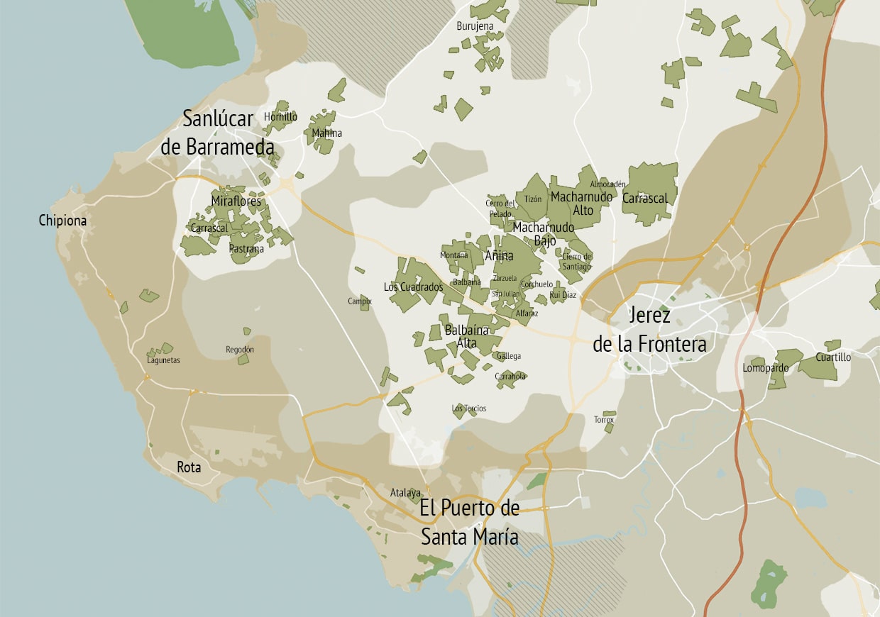 Sherry triangle: map of pagos