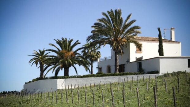 Jerez De La Frontera Sherrynotes