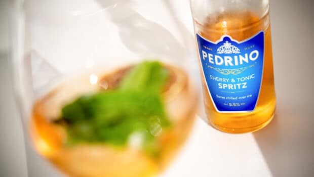 Other: Pedrino Sherry & Tonic Spritz