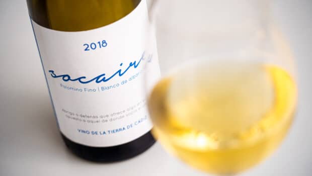 Vino de Pasto: Socaire 2018 (Primitivo Collantes)