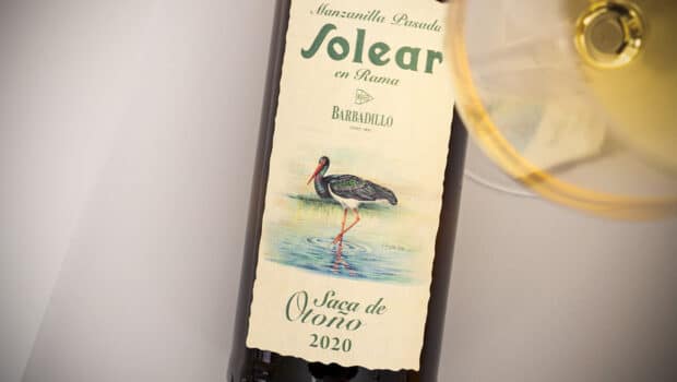 Manzanilla: Manzanilla Solear En Rama – Otoño 2020 vs Otoño 1999 (Barbadillo)