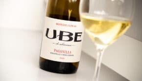 UBE Paganilla 2019 - Bodegas Cota 45