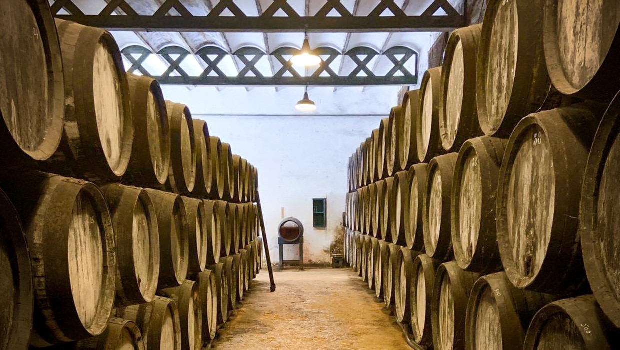 Bodega Orleans Borbon - Sanlucar