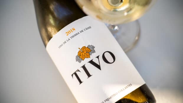 Vino de Pasto: Tivo 2018 (Primitivo Collantes)