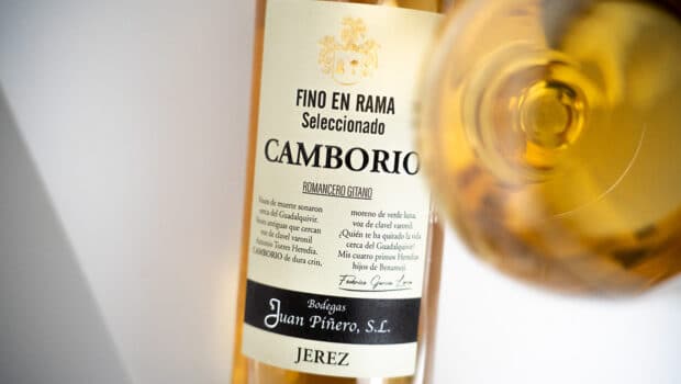 Fino: Fino Camborio En Rama (2018 vs 2021)