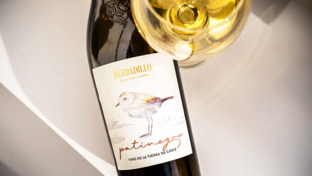 Vino de Pasto: Patinegro 2019 (Barbadillo)