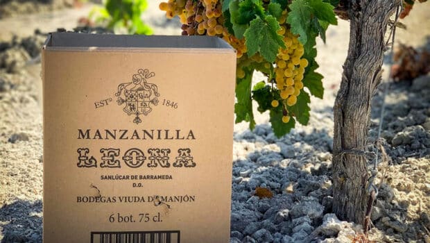 Bodegas: Bodegas Viuda de Manjón (Viña Leona)