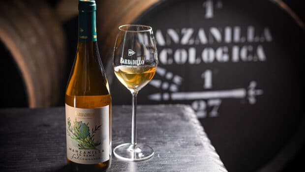 News: Salicornia: organic Manzanilla from Barbadillo