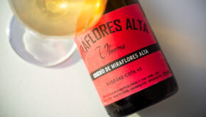 Caserío de Miraflores Alta - Cota 45