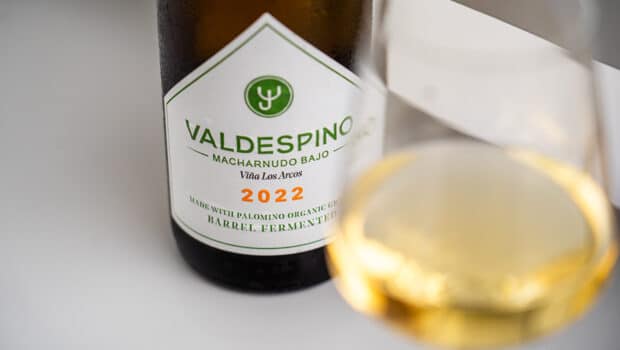 Los Arcos Macharnudo Bajo 2022 - Valdespino wine